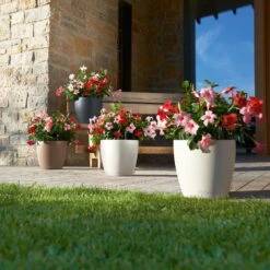 LECHUZA Pflanzgefäß 'Classico Color 70', Weiß, Ø 70 X H 64,5 Cm 7 LECHUZA Pflanzgefäß 'Classico Color 70', Weiß, Ø 70 X H 64,5 Cm -Der Grillgarten 3210103918 Pflanzgefaess Classico Color 60 All in 1 weiss 3 109195