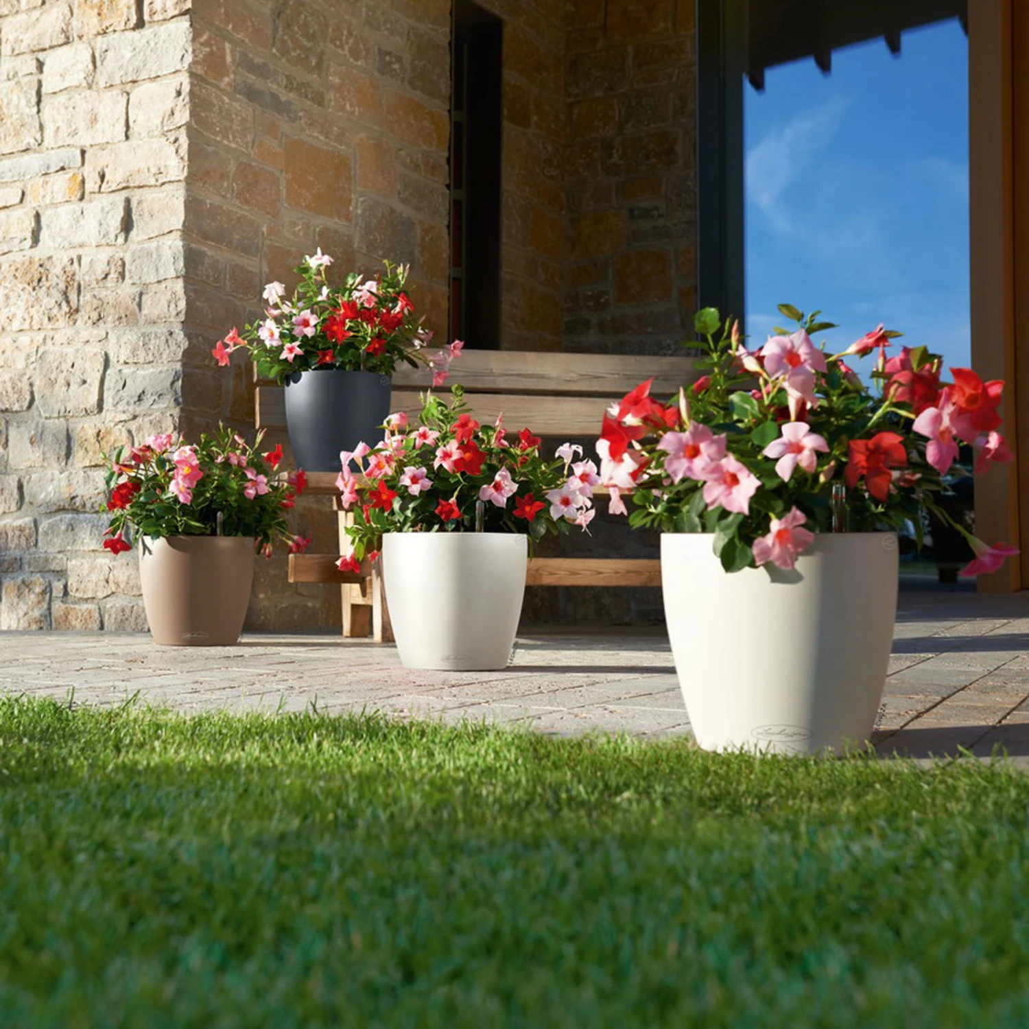 LECHUZA Pflanzgefäß 'Classico Color 70', Weiß, Ø 70 X H 64,5 Cm 5 LECHUZA Pflanzgefäß 'Classico Color 70', Weiß, Ø 70 X H 64,5 Cm – Bild 3