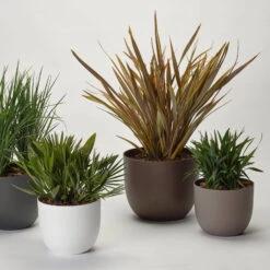 Pflanzkübel 'Rio', Rost, Ø 34 X H 28 Cm -Der Grillgarten 3210104130 3210104131 3210104132 3210104133 pflanzkuebel rio 122622 2