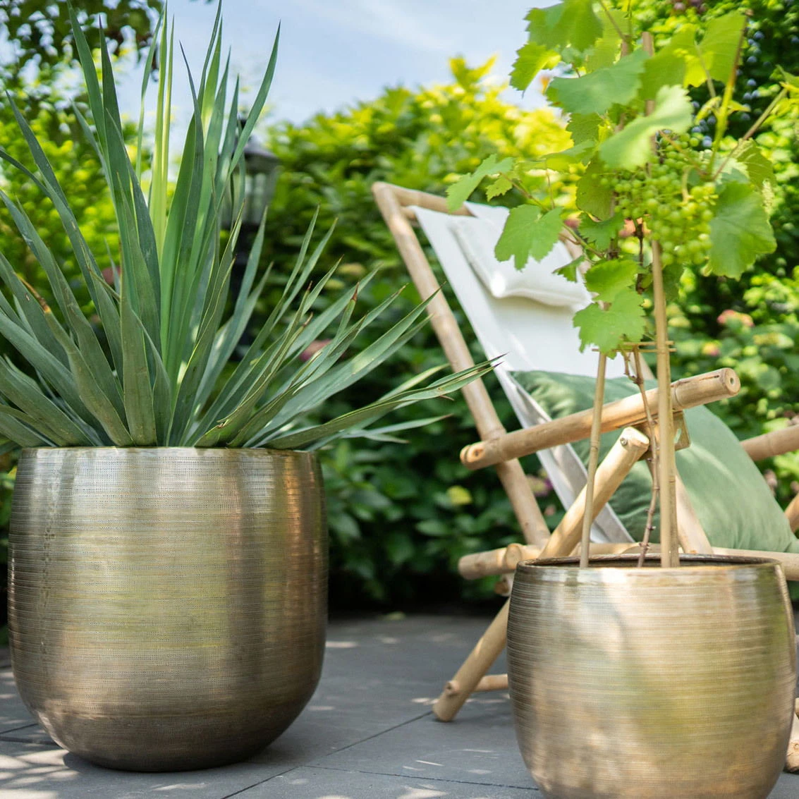 Der Grillgarten -Der Grillgarten 3210801621 3210801623 Pflanzgefaess Rowen gold 2 114986