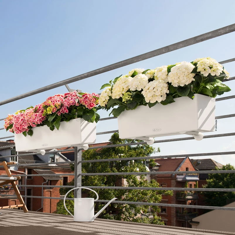 Der Grillgarten 29 Der Grillgarten -Der Grillgarten