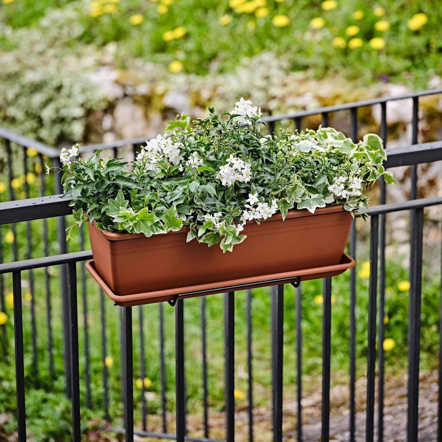 Der Grillgarten 28 Der Grillgarten -Der Grillgarten 3230101144 Blumenkasten Tera Kit Basic Rectangle 80 terra 1 102287