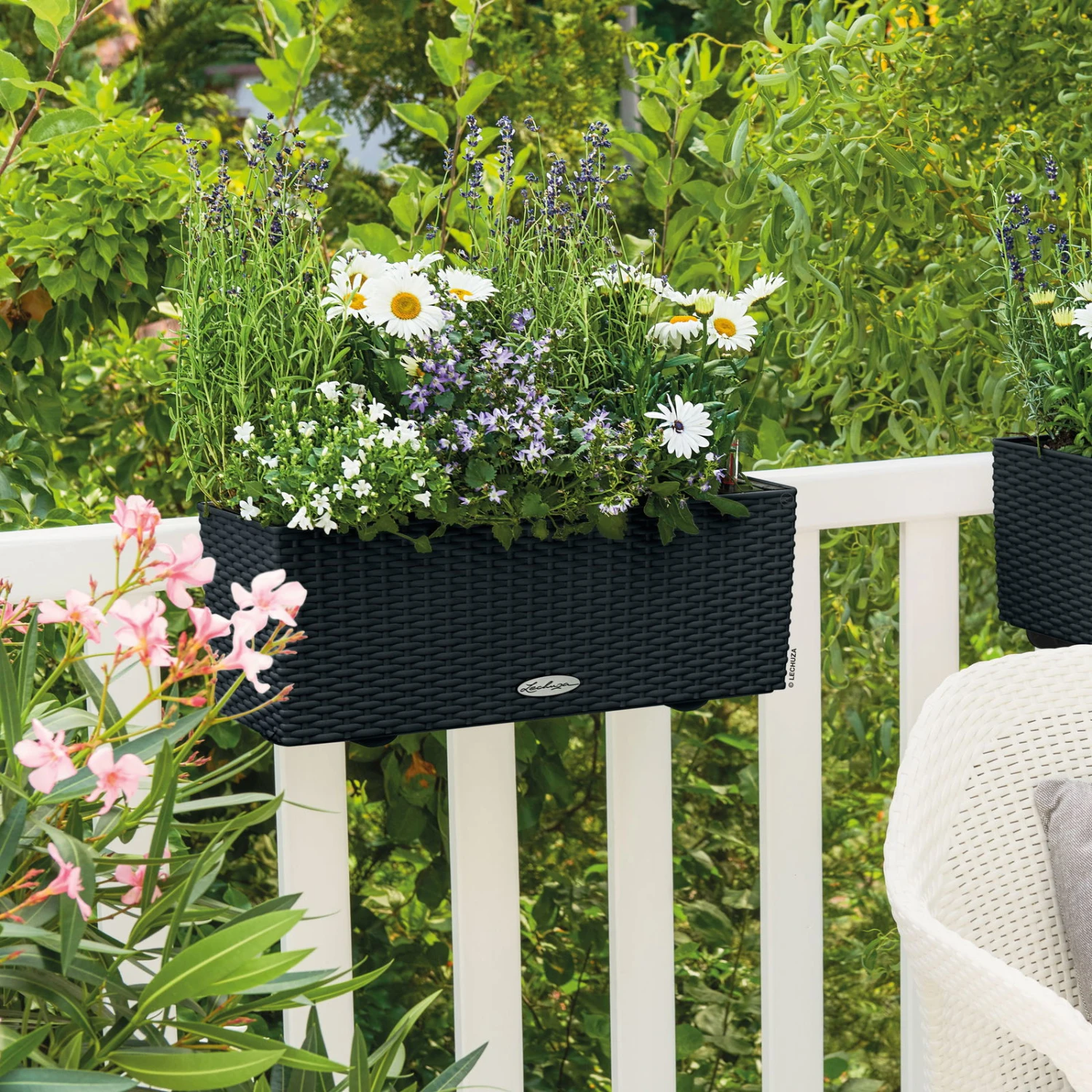 Der Grillgarten 30 Der Grillgarten -Der Grillgarten 3230101161 Balconera Cottage 50 2 103354