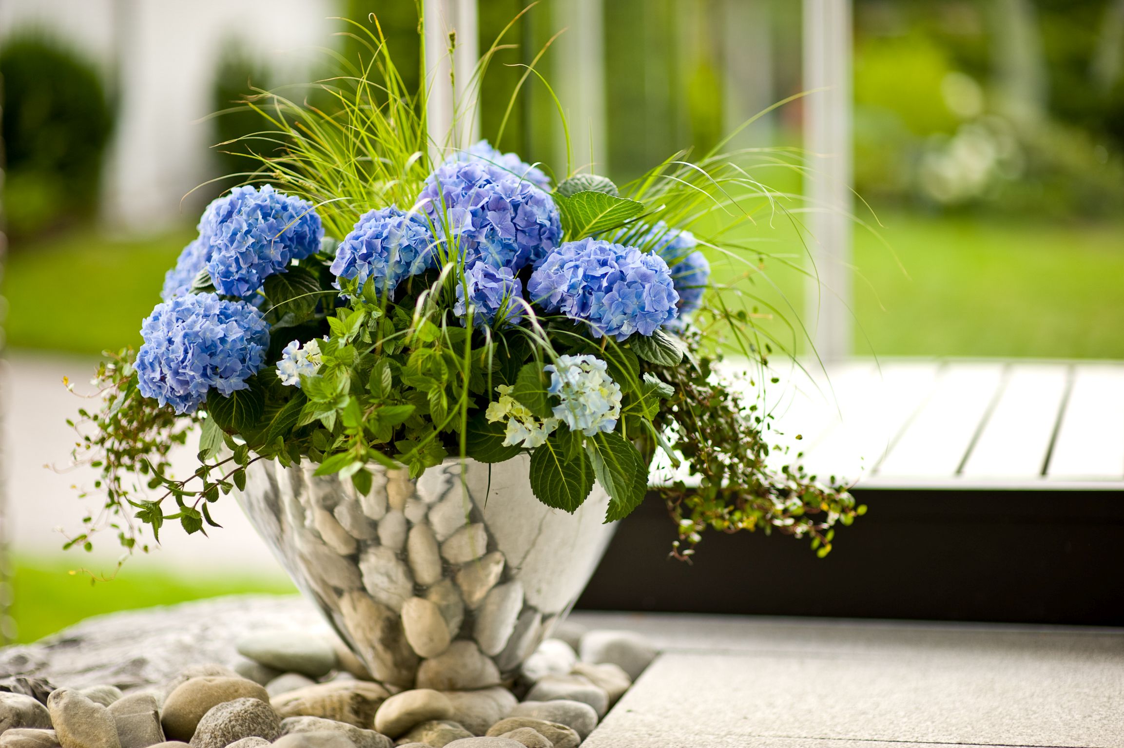 Der Grillgarten 1 Der Grillgarten -Der Grillgarten GMH 2017 14 02